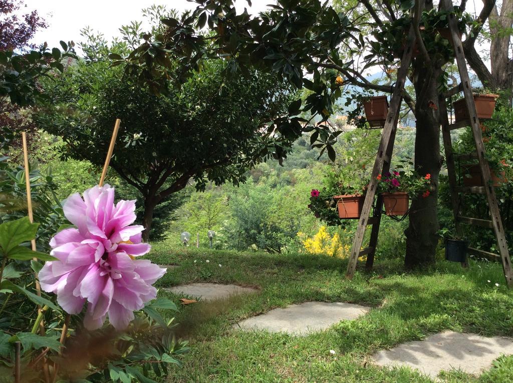 L'Acacia B&B Pietra Ligure Luaran gambar